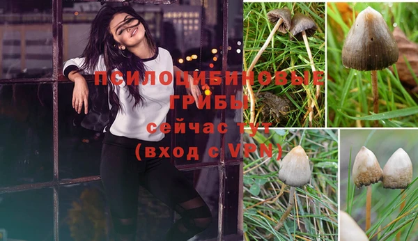соль курить ск Бугульма